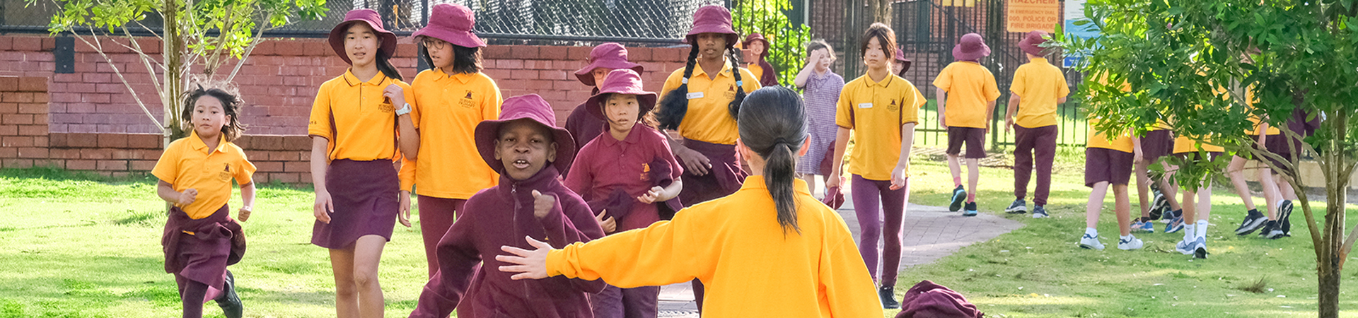 Subiaco Primary School
